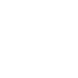 Digital Transformation Consulting